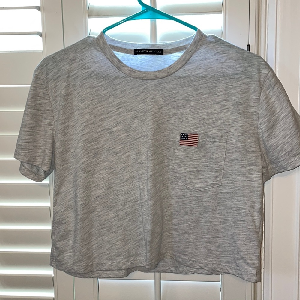 Brandy Melville Grey Cropped Tee